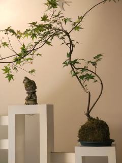 小野失乐园大娃终于完工了，又加了做旧，栏杆和钥匙🔑