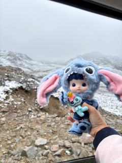 看过七月飞雪、泡过温泉、在八廓街ppmt店前打过卡，是见过一
