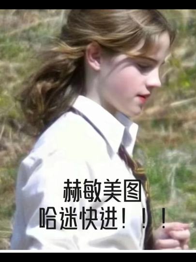 赫敏美图#哈迷快进