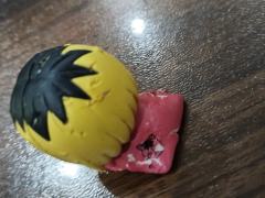 我家狗干的好事