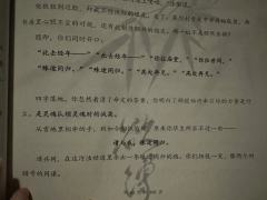 方圭量世路,芷室养天钧
整个本打的我真的是红温又红温,跟
