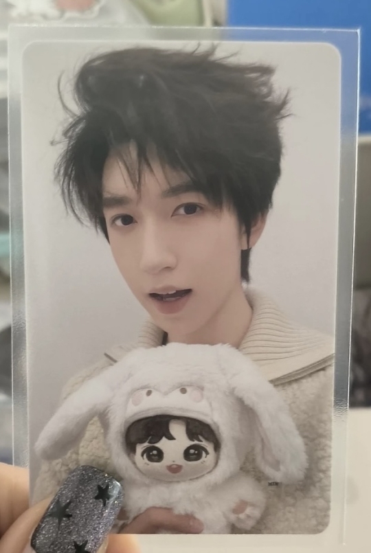 棉花娃娃3.0 6 ver.B | 时代少年团- 严浩翔- 周边卡- 棉花娃娃动物系列