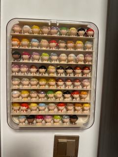 也是集齐了阿玛莉莉丝家的款式了