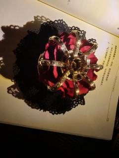 重生之程走柳变成了她姐（bush）
重生之蒋伯驾变成了老婆他