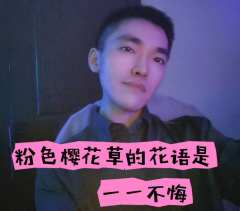 “这世间的爱，皆是你我在过去对未来呼唤的回声。”

🌟类型