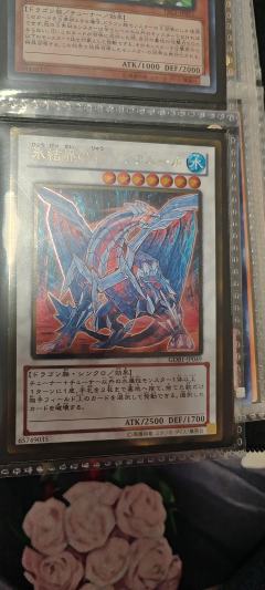 黑蔷薇龙
自然兽
冰枪龙
现在都什么价位 不值钱我就继续收藏