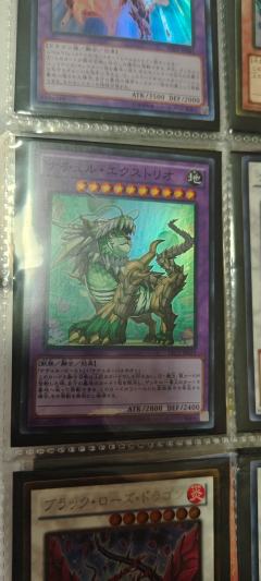 黑蔷薇龙
自然兽
冰枪龙
现在都什么价位 不值钱我就继续收藏