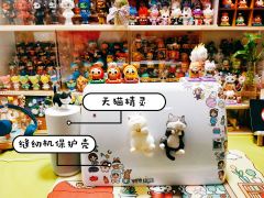 大概就是这样?
装盒子里防尘防猫抓,最重要的是……好看啊!哈