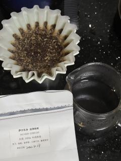 萨尔瓦多油渍杨桃
产地：萨尔瓦多
海拔：1600m
处理法：