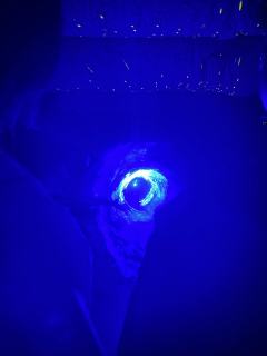 《欲缚》测评｜痛与爱交织的极致情绪体验
这真的是一部让我又笑