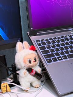 背面看好像一个小兔子❗
个人觉得
拉布布x可口可乐做工是拉布