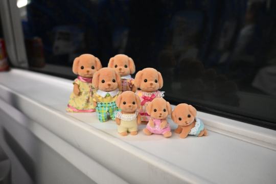 一家老小坐高铁咯