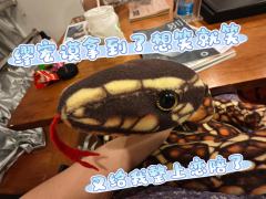 📍店家：1/K
👤DM：老徐👍👍👍👍
⏱️时长：