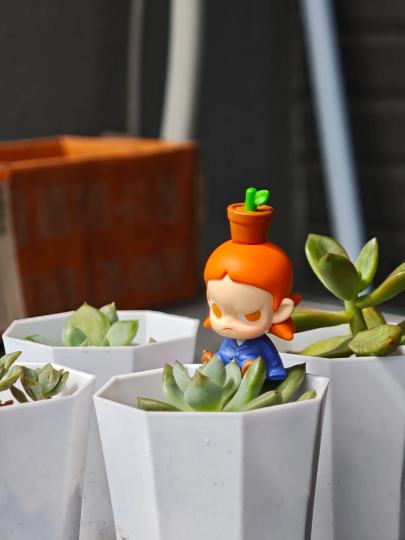 太可爱了跟我的盆栽一起