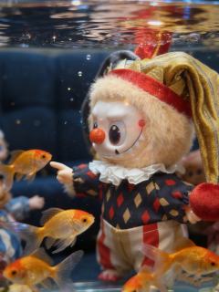 月影假面的“鱼缸写真”大片哈哈哈哈哈