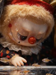 月影假面的“鱼缸写真”大片哈哈哈哈哈