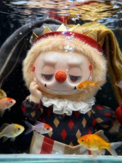 月影假面的“鱼缸写真”大片哈哈哈哈哈