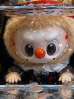 月影假面的“鱼缸写真”大片哈哈哈哈哈