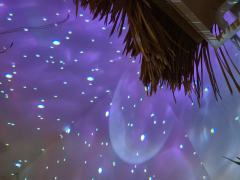 很独特，很勇敢，而且后期很有设计感，说实话被惊艳到了
---