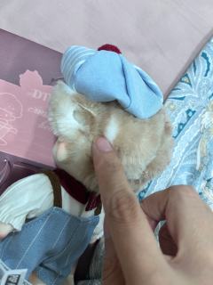 娃是好娃，就是泡泡玛特的品控堪忧，只能自己缝缝补补了