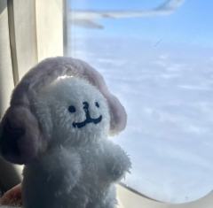 线条小狗头像🉑拿！评论区冒个泡，谢谢小宝们！💖