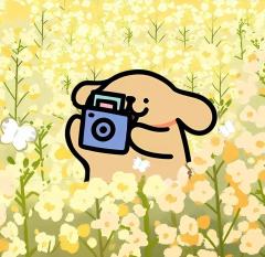 线条小狗头像🉑拿！评论区冒个泡，谢谢小宝们！💖