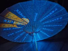 林风儿：dm小芸
p1 p2 p3是我作为二刷文桀给林风儿准