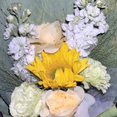 林风儿：dm小芸
p1 p2 p3是我作为二刷文桀给林风儿准