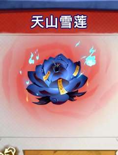 1⃣️所有大金只能收获一颗 不能被偷取
2⃣️获得变异的大金