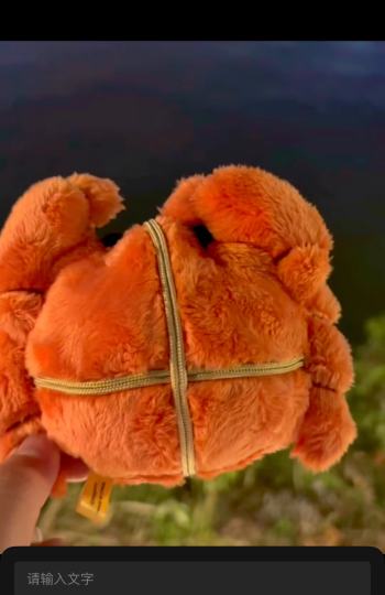 十一去阳澄湖抓螃蟹🦀了🍂