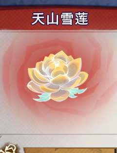 1⃣️所有大金只能收获一颗 不能被偷取
2⃣️获得变异的大金