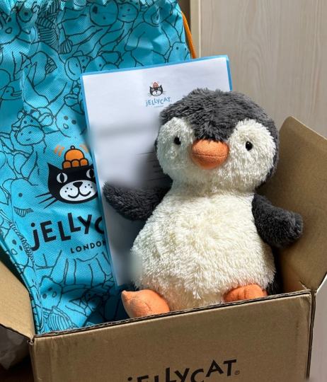 被可爱到了₍˄·͈༝·͈˄*₎◞ ̑̑买了小企鹅🐧（不出噢～单纯分享(*´I`*)）