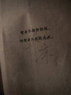 谁是谁的天使,谁又和谁一起跌入地狱。命运让我们相遇交织,那我