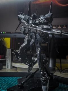 优点就是帅，隐藏水口，黑色机体不用走线，缺点就是大号hg，没