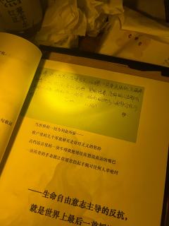 在白鹿打《流氓叙事》的体验，直接刷新了我对沉浸式剧本杀的期待