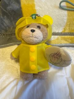 很可爱，充棉足，内置骨架可以摆各种造型，手和脚里面有磁铁可以