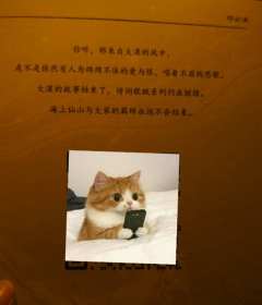 “月隔云端，遥不可及，若连踮脚望月的资格也失去，人生何望。”