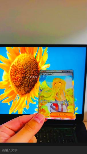 莉莉艾的花海