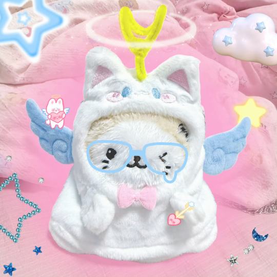 让我们支持奶茶猫这个萌娃好吗！