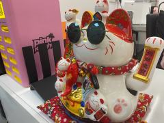 店铺：Pink Knight狼人杀桌游馆
坐标：上海普陀区环