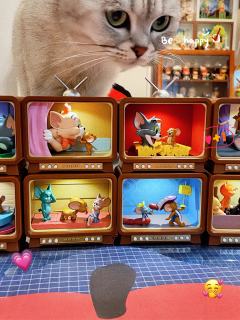 淘到了超值盲盒，小电视里的猫和老鼠，可爱的不要不要的