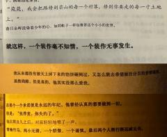 【含剧透】
【种一棵树最好的时间是十年前,其次是现在!】