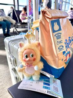 我的星星儿！跟我回家过年！😘😘😘