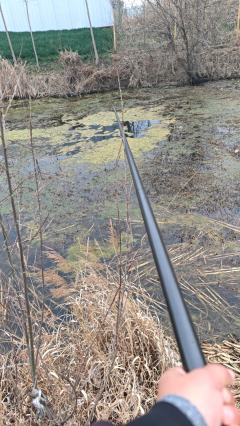 今天就一个鱼，钓了大概三个小时。昨天下过雨，泥土都是湿的。
