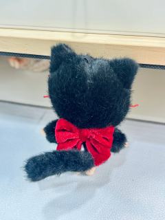 为什么不喜欢molly呢？babymolly超可爱呢…🥰