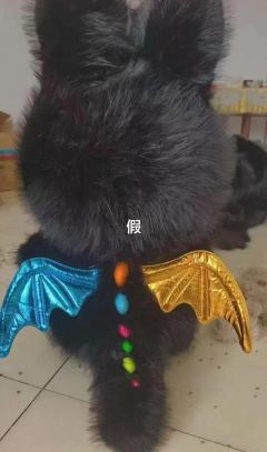 zimomo十周年黑天使真假对比
1.看鼻子轮廓和形状，假货