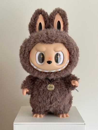 除了毛色是偏淡的奶茶咖之外，其他都很正，脸也好乖，好纠结。。。要不要换。。。啊啊啊啊啊啊啊啊