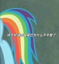 终于知道云宝的尾巴为什么不平整了