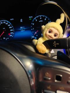 好宝
的妙用。
一直想要个怀档公仔，这不现成的嘛。
听说失焦