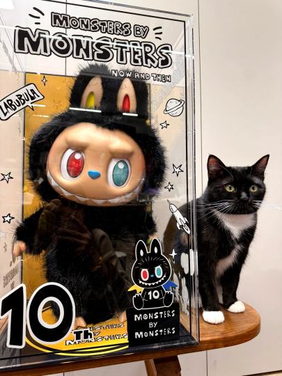 hi兄弟，你在看什么？我是俺们那嘎达的！